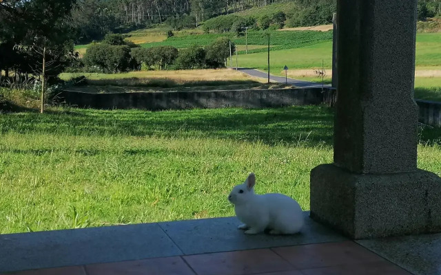 Casanosa