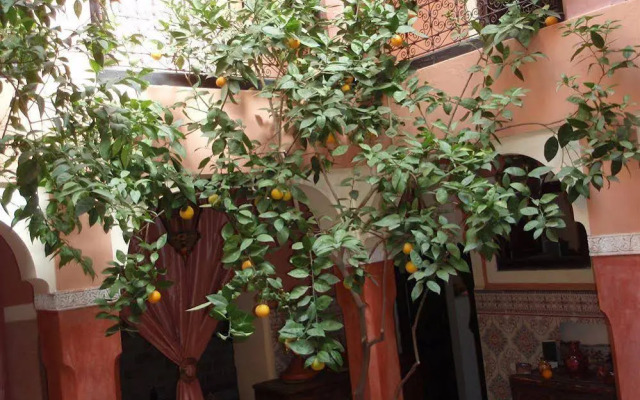 Riad Cala Medina