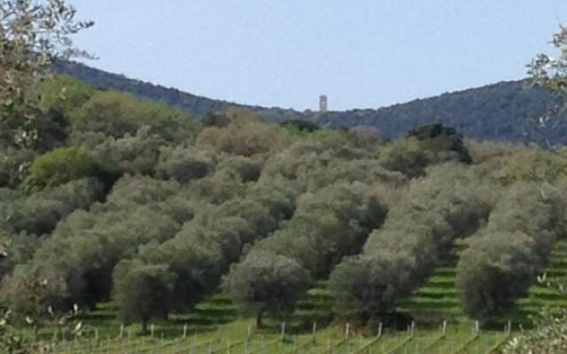 Podere Oslavia Az.Agr.Bio Giannini