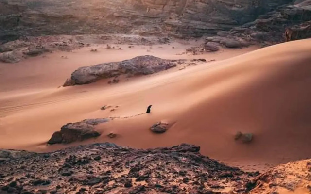 Wadi rum echo camp
