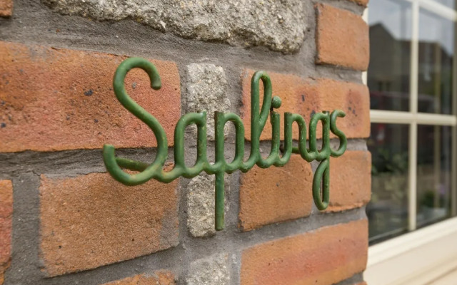 Saplings
