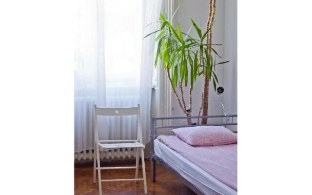 Activity Hostel