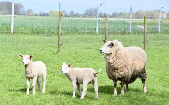 Apartment in Austria With Stunning Sea Views