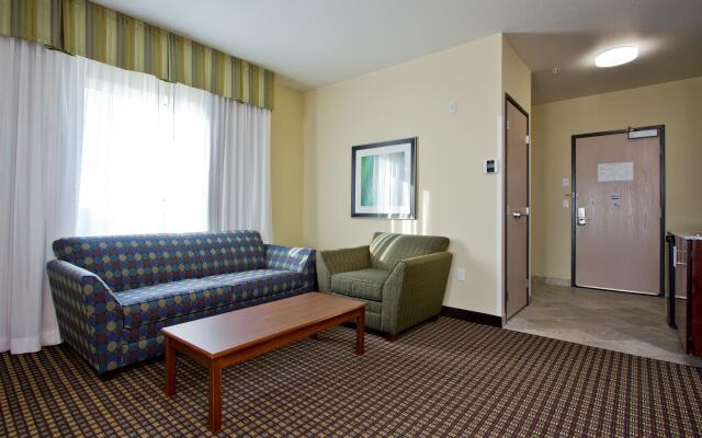 Holiday Inn Express Hotel & Suites Denver East-Peoria Street by IHG