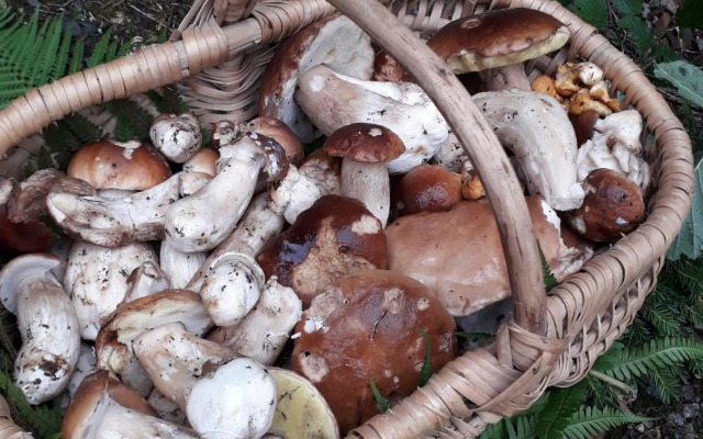 casa vacanza da ghislin