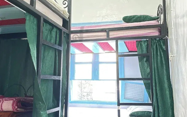 aline hostel