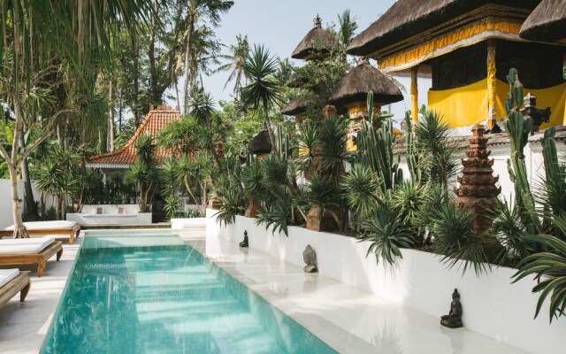 Eco Gypsy House