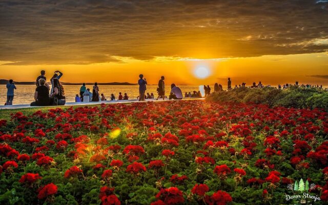 Romantic Oasis modern Apartment