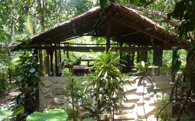 Mangrove Resort