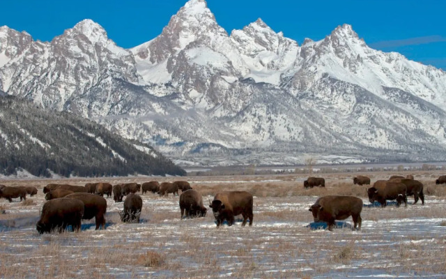 Timber Ridge by JHRL