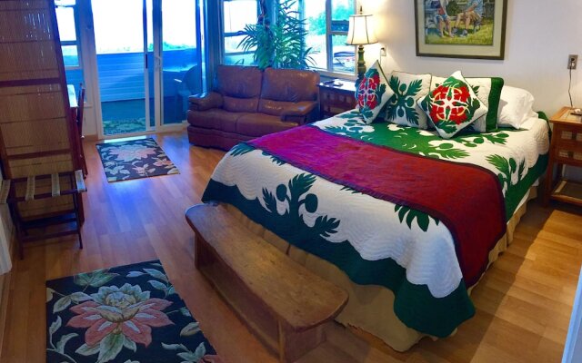 The Bay House House Bed and Breakfast