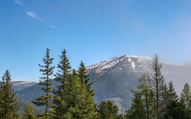 Chalet Zirbenwald 8P Turrach