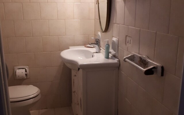 The Mountain Gardens