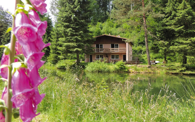 Cosy Apartment on Forellenhof, Zorn Valley, Dabo