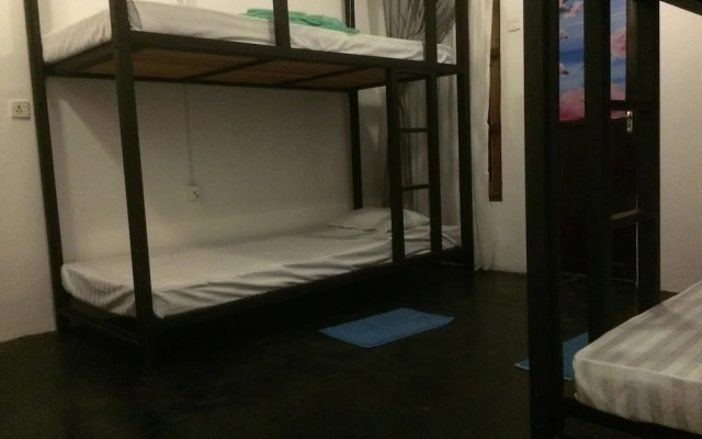 Nature Rex - Hostel