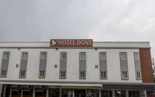 Treebo Trend Dove