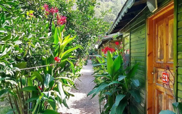 Olympos Tatilya Pansiyon