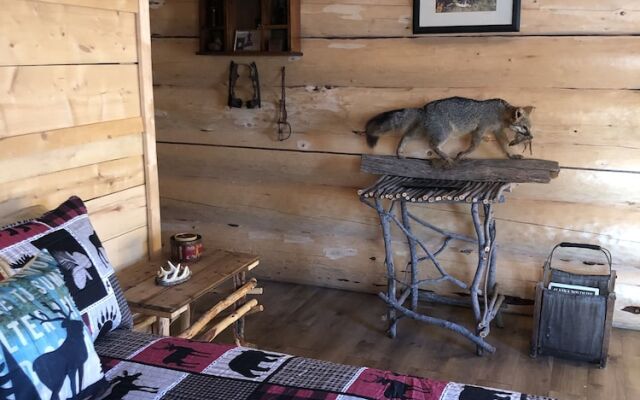 Wrangell Mountain Lodge