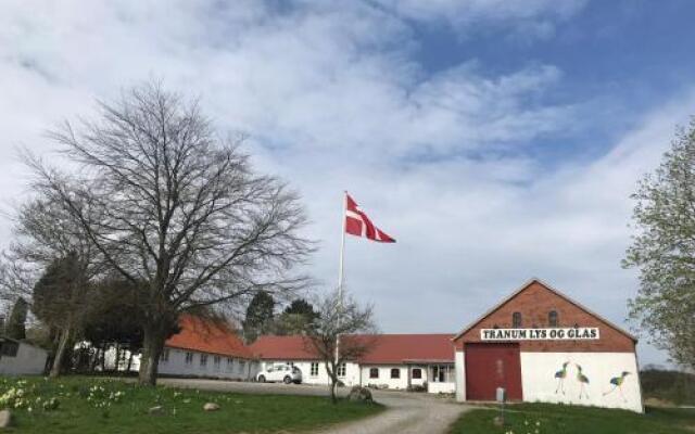 Tranum Lys og Glas
