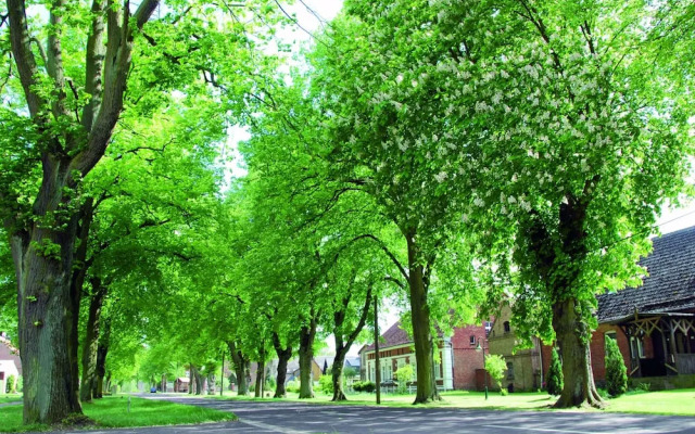 Apartment by Lake Muritz With Marina Views