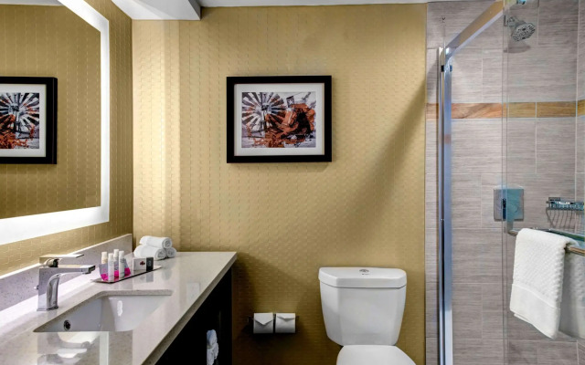 DoubleTree by Hilton Hotel Arlington DFW South