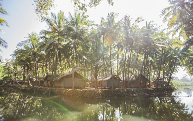 Palm Trees Ayurvedic Heritage