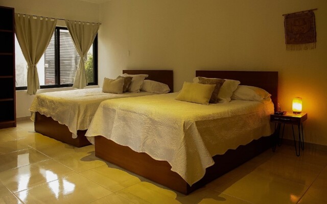 Stay Tropical Downtown Studios