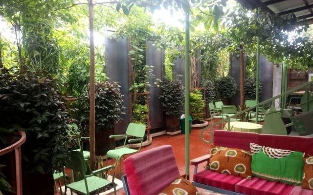 Kilimanjaro Green Homes & Camps - Hostel