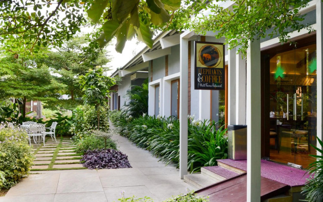 Purple Palms Resort & Spa