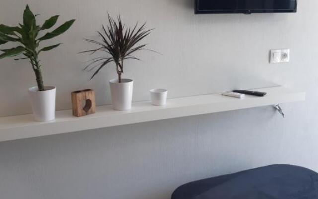 Studio Wilem