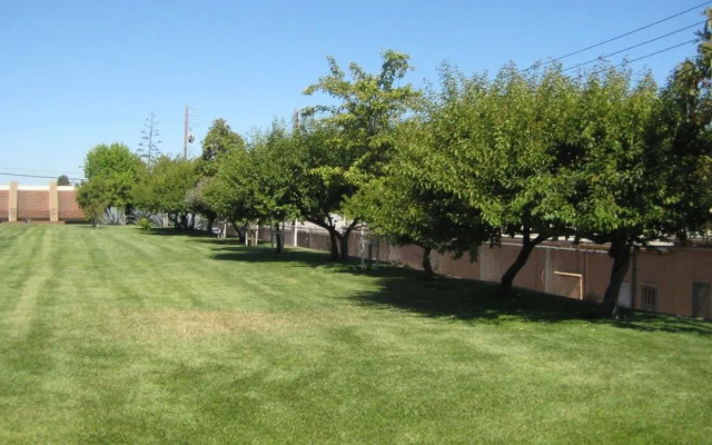 Solaire Inn & Suites