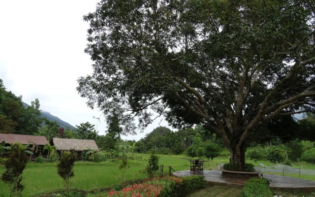 Sheridan Organic Farm and Eco Village