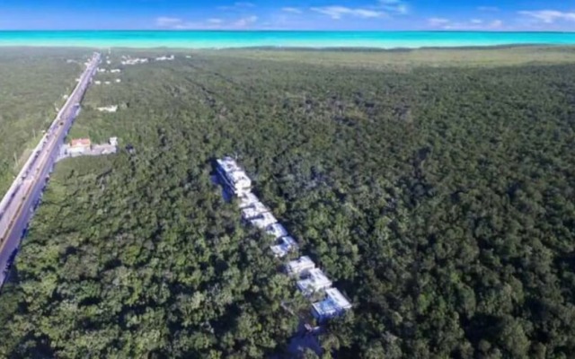 Supreme Jungle Holiday Home