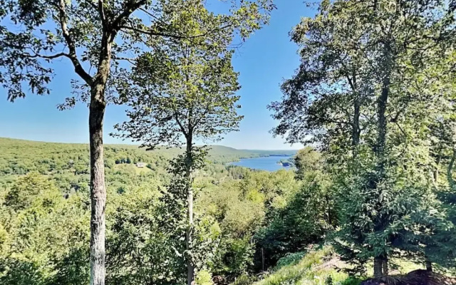 Magnificent Mountain Lodge by Taylor Made Deep Creek