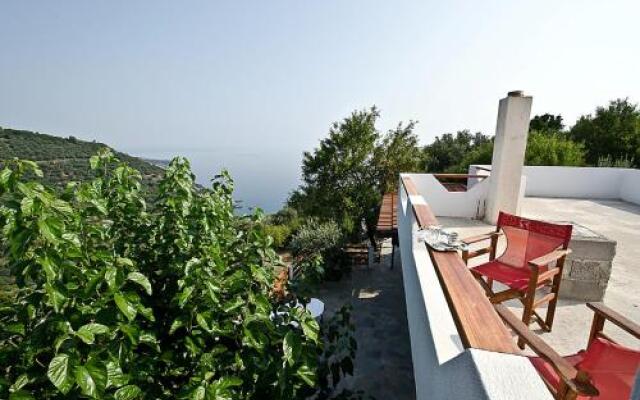 Villa Rose