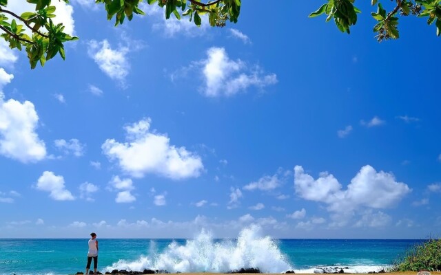 Regency at Poipu Kai #924