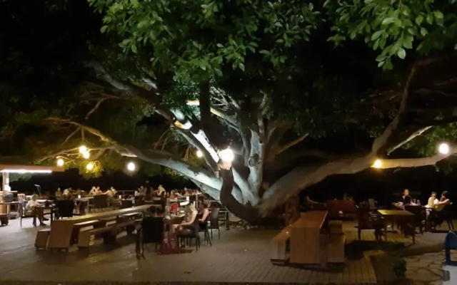 Marvel Tree Hotel