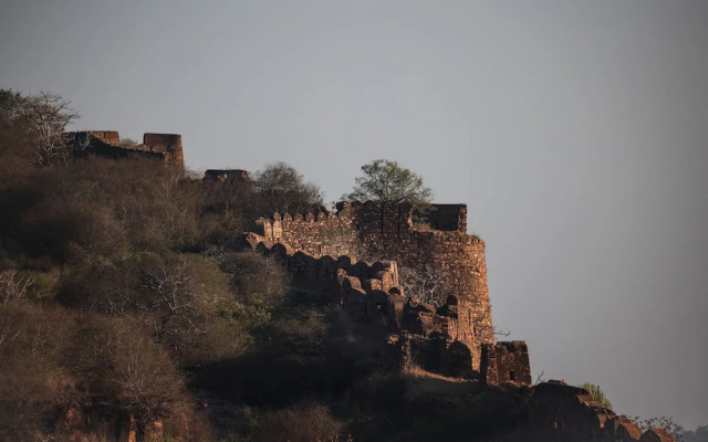 Sawai Shivir Ranthambore by TUTC