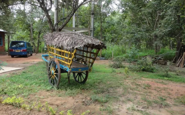 INN On The Tree Eco Resort Sigiriya