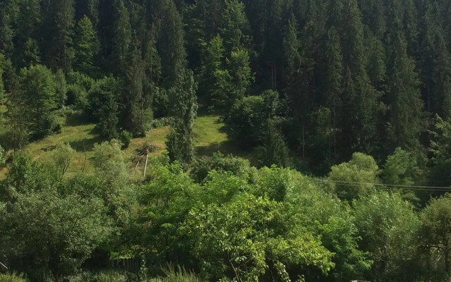 Casa de Vacanta Joldes