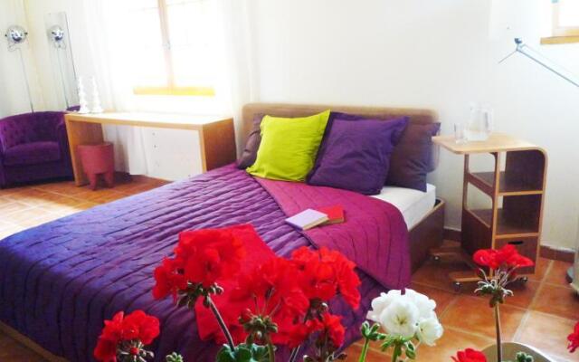 Domaine Los Caballos