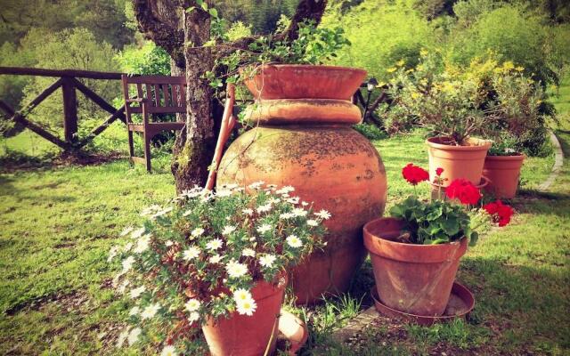 Bio Agriturismo il Vigno