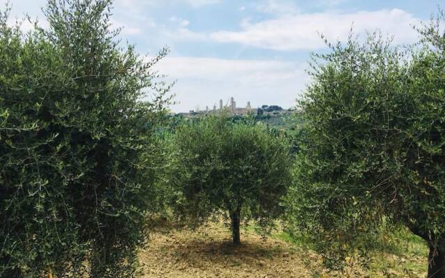 Agriturismo La Piazzetta