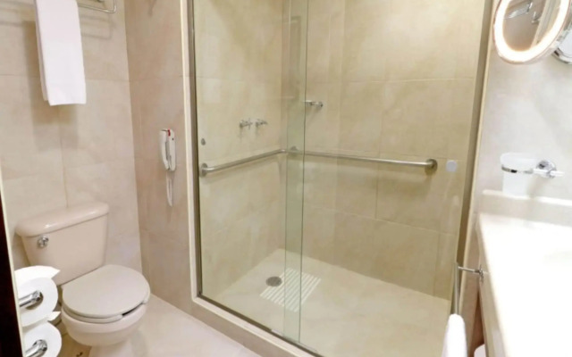 Holiday Inn Hotel & Suites Medica Sur by IHG