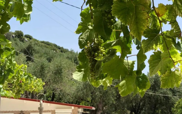 Studios Ristas Kostas