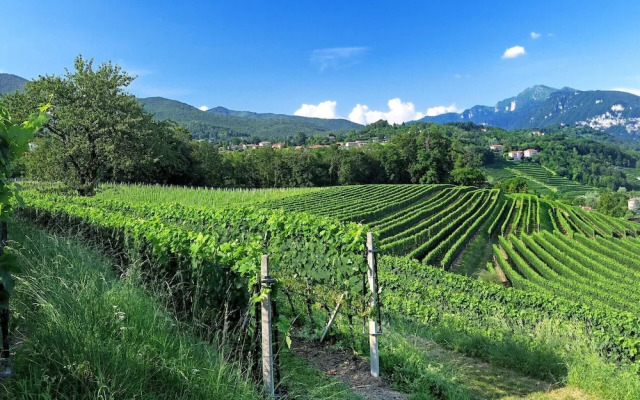Conca Bella Boutique Hotel & Wine Experience