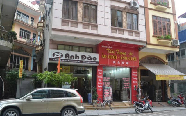 22 Anh Dao Hotel