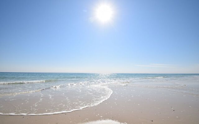 Sun Chase 301 by RedAwning