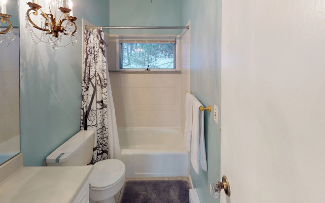 Silver Spring Chalet