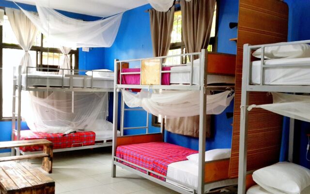 Hunch Backpackers Hostel